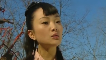 少年张三丰 5集