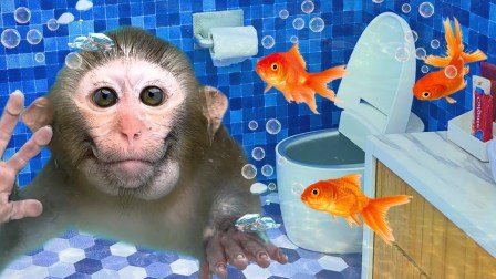 小猴子啵啵 第5季 10集