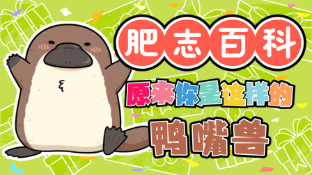 肥志百科 第13季 11集
