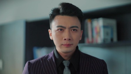 双生枕边人 12集