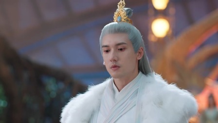 护心 29集