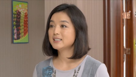 龙门村的故事 12集