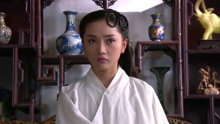 明珠游龙 28集