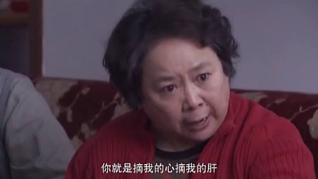 朋友一场 14集