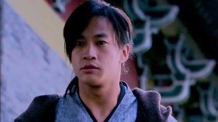 少年杨家将 14集