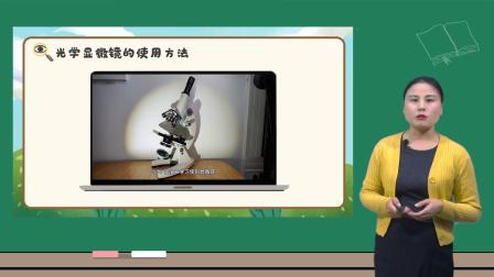 小学科学 教科版六年级上册全册视频课程 4集