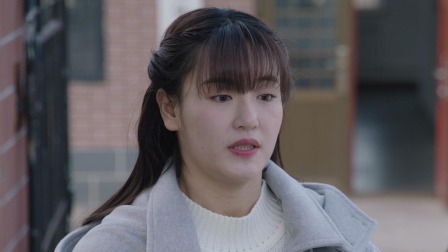 乡村爱情14 24集
