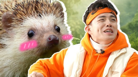 蕃尼看世界之出发吧少年 20集