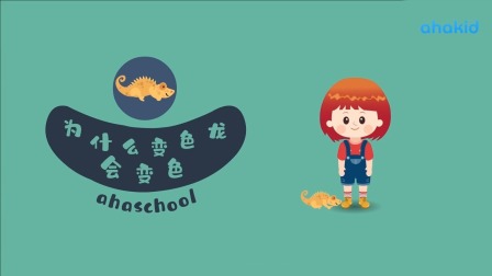 麦奇的为什么 百科动物篇 17集