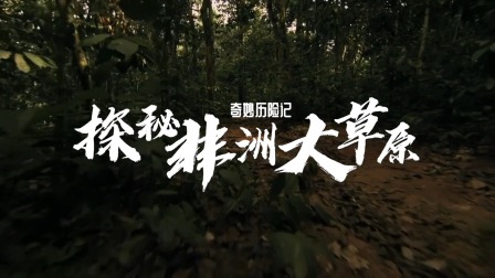奇妙历险记：非洲草原大冒险 1集