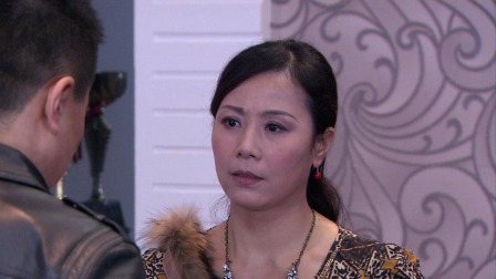 法网追击 10集