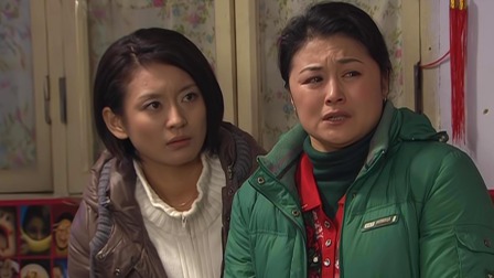 乡村爱情 第3部 34集