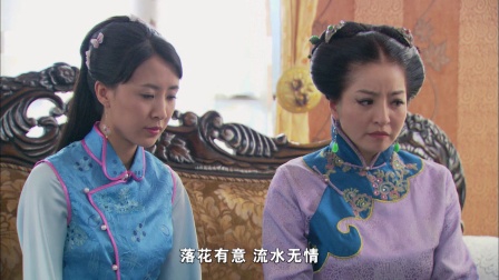 桃花劫 11集