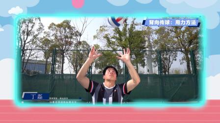 跟运动员一起学体育：排球 6集