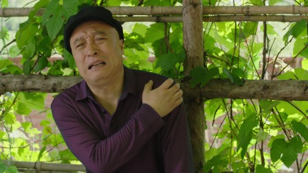 乡村爱情17 37集