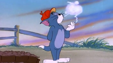 猫和老鼠 少儿版 38集