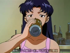 新世纪福音战士 22集