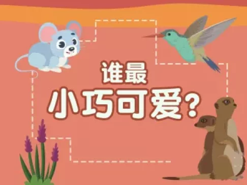 超萌动物园 新奇动物大派对 13集