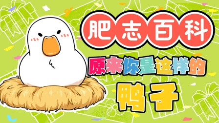肥志百科 第13季 7集