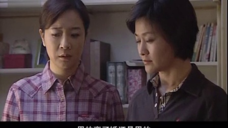 复婚 12集