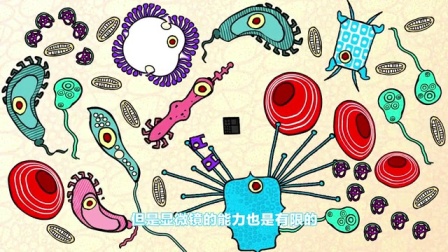平博士密码 12集