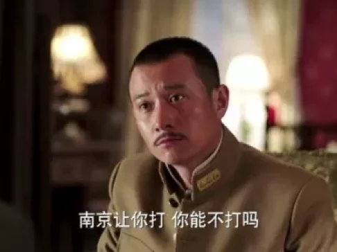 少帅 39集