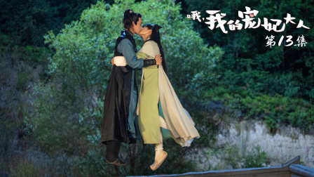 哦，我的宠妃大人 13集