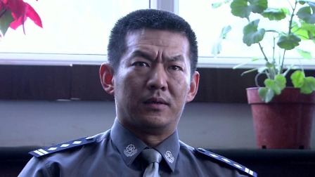 大漠高墙 13集