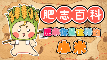 肥志百科 第12季 11集