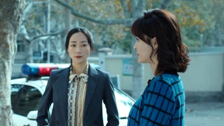 巡回检察组 DVD版 30集