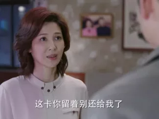 那座城这家人  DVD版 40集