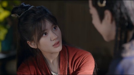 珠帘玉幕 13集
