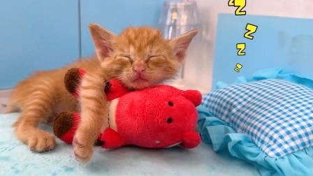 小猴子啵啵 第4季 5集
