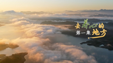 去养心的地方 1集