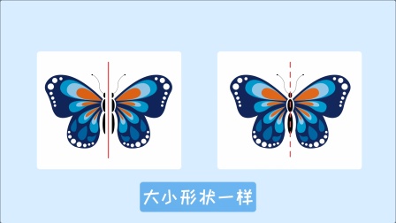 苏教版小学数学三年级（上） 37集