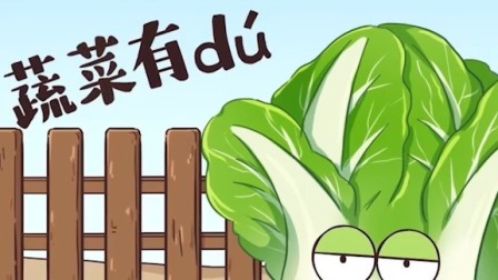 我是不白吃之美食趣胃计划 79集