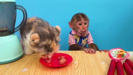 聪明小猴子布布 3集
