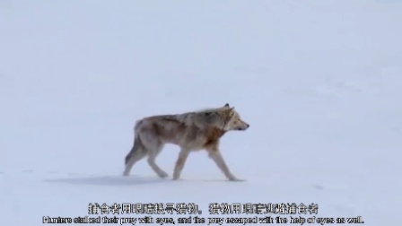 少年的第一堂自然课 12集