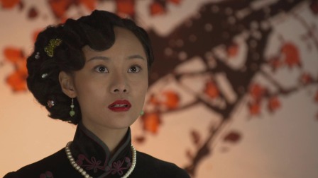 执着的追踪 11集