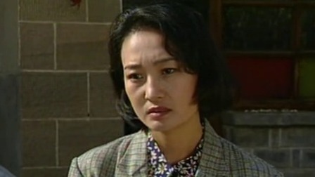 枣树湾 8集