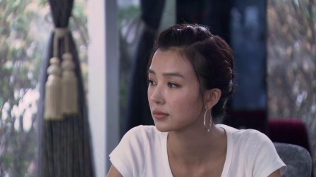 我要一个家 20集