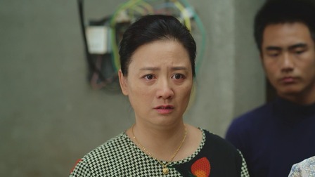 枫叶红了 22集