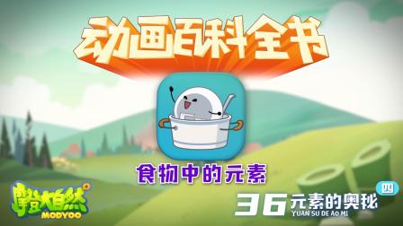 大自然里面的小百科 12集