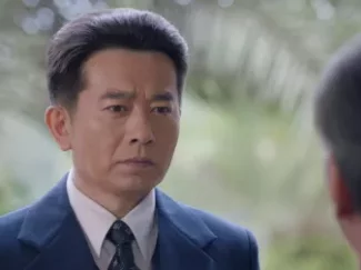 外交风云 17集