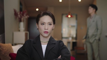 法证先锋VI：幸存者的救赎 11集