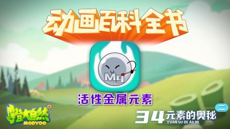 大自然里面的小百科 10集