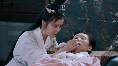 锦绣医妃 9集