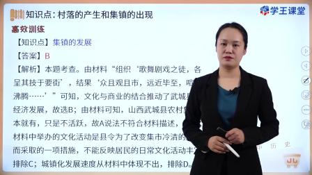 学王课堂 人教版高中历史选择性必修2（经济与社会生活）（部编版） 19集