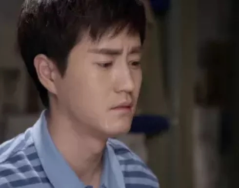 致青春 15集