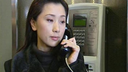 云雀行动 17集
